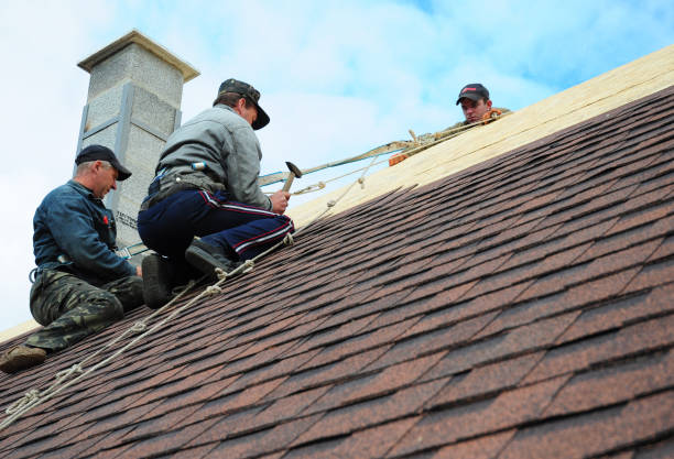 Best Local Roofing Companies  in Durand, MI